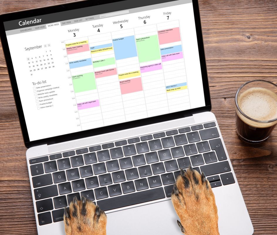 Book An Appointment HealthPointe Veterinary Clinic